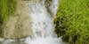 www.Zlatibor.com  - Dodjite !